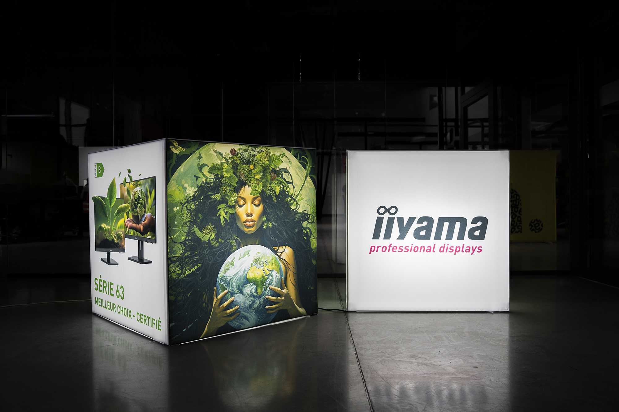 nowyux zdjecia retail