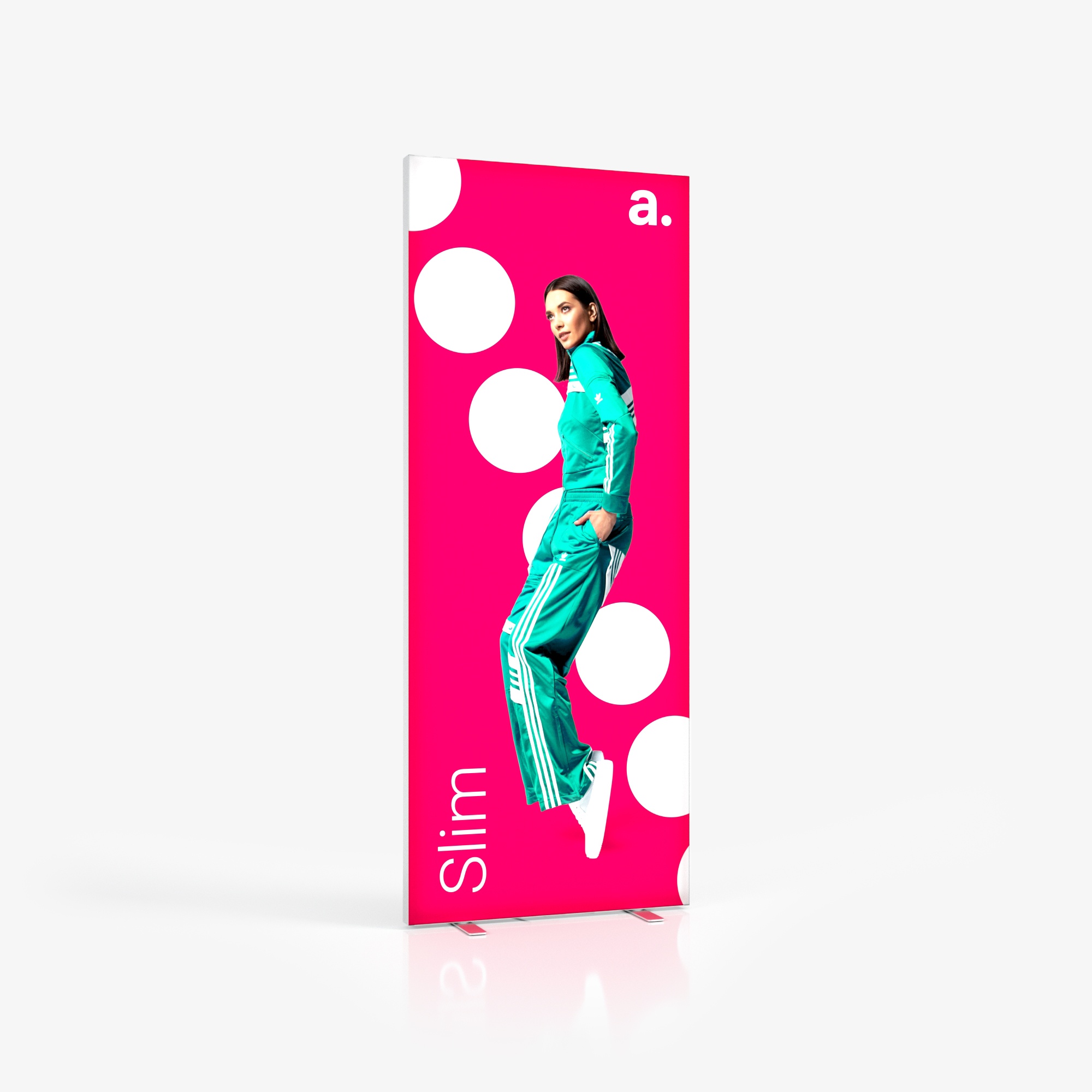 Adframe slim 100x250