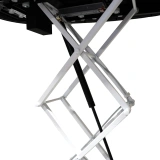 file-meta-description.ad-tribune--quick--kidney-detail