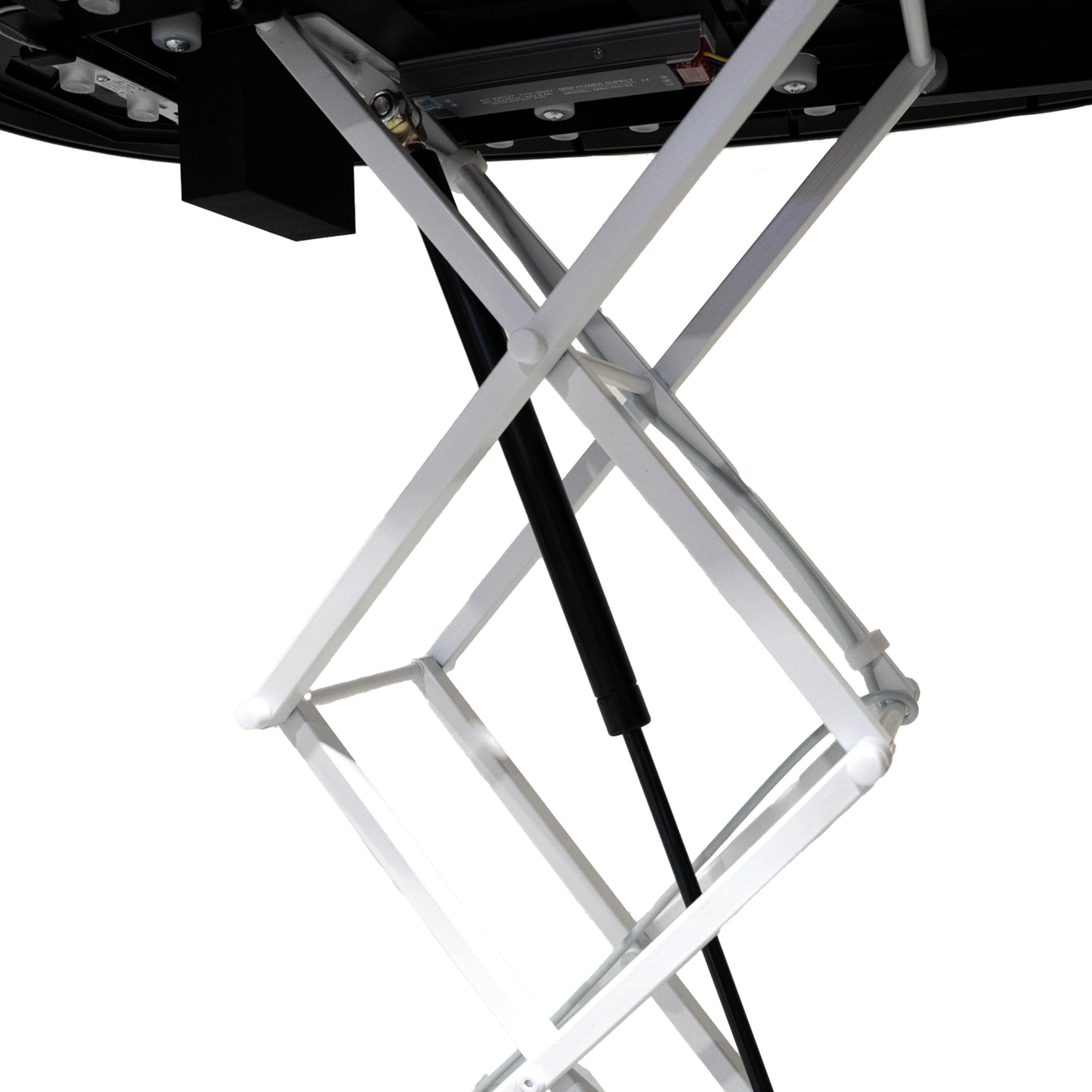 file-meta-description.ad-tribune--quick--kidney-detail